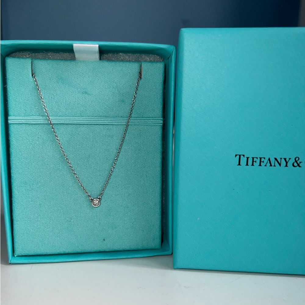 Tiffany & Co Diamonds by the Yard Single Diamond Pendant